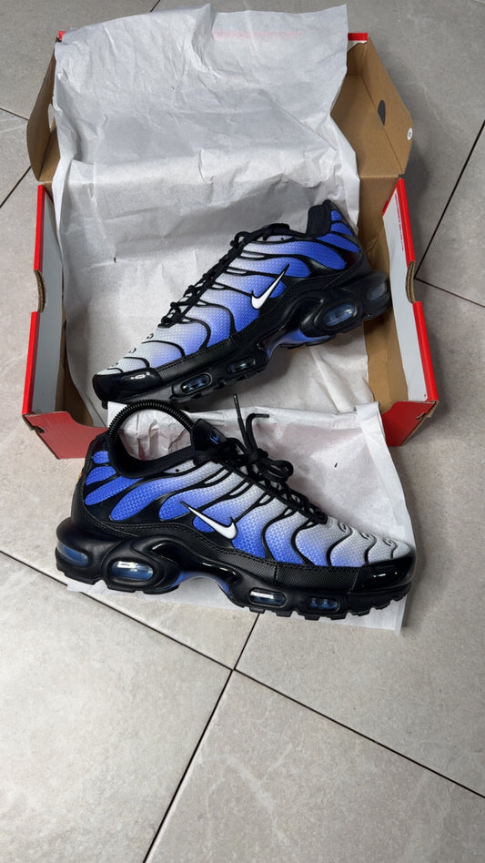 Nike air max plus