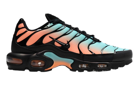 Nike air max plus