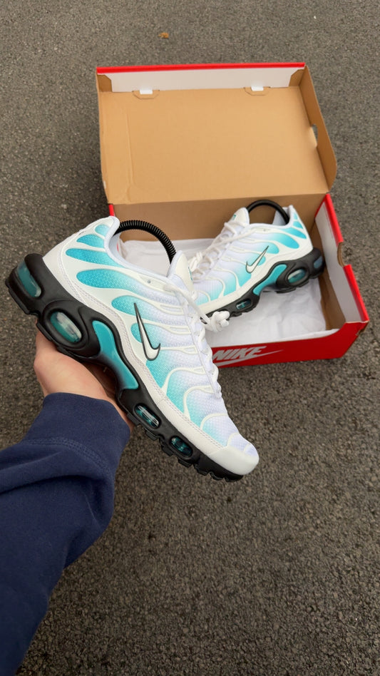 Nike air max plus