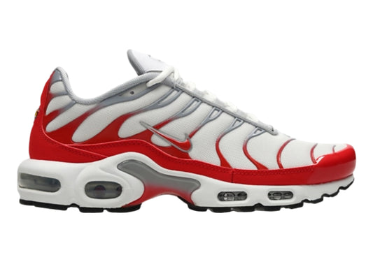 Nike air max plus